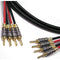 Canare 4S11 Speaker Cable 4 Banana to 4 Banana (6')