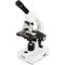 CELESTRON LABS CM2000CF Compound Monocular Microscope