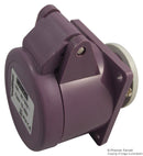 WALTHER 10400 16A 25V 2P Low Voltage Panel Mount Site Socket, IP44