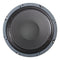 Pulse 55-5805 8&quot; Guitar Speaker 8 Ohm 20 Watts