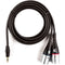 D'Addario Custom Series 1/8" to Dual XLR Audio Cable (6')