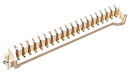 Edac 299-020-299198-1 Card Edge Connector Single Side 20 Contacts Surface Mount Straight Solder New