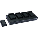 Dolgin Engineering TC40 Four Position Battery Charger for Panasonic DMW-BLF19 Batteries