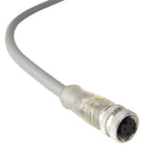 Bulgin Limited PXPPNP12FBF04ACL010PVC. Sensor Cord 4P M12 RCPT-FREE END 3.3FT