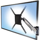 Ergotron Heavy Duty Interactive Arm (Polished Aluminum)