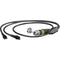 FieldCast 4Core Single-Mode to Two LC Duplex Adapter Cable (6.6')