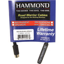 Hammond 8-Pin to 1/4" Female TS Adapter (6")
