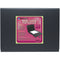 Itoya ProFolio Magnet Closure Portfolio Case (18 x 24", Black)