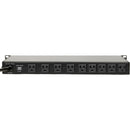 Juice Goose Rackpower 100 for 19" Rack Systems (20 A)