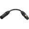 Kopul DMX35PA-S 3-Pin Male to 5-Pin Female DMX Adapter Cable (6")