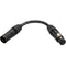 Kopul DMX53PA-S 5-Pin Male to 3-Pin Female DMX Adapter Cable (6")