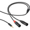 Kopul Y-Cable with 1/8" TRS Stereo Mini to 2 XLR Male Connectors (3')