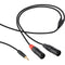 Kopul Y-Cable with 1/8" TRS Stereo Mini to 2 XLR Male Connectors (6')