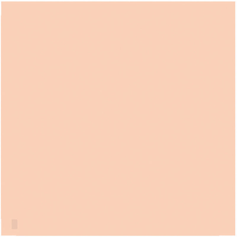 LEE Filters 806 Zircon Warm Amber 2 Filter (24 x 24" Sheet)