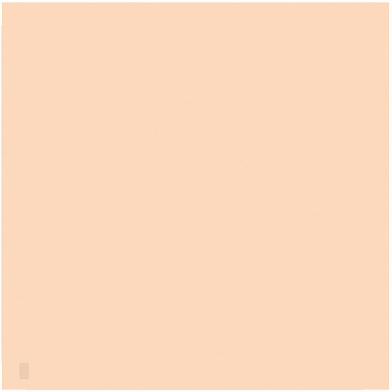 LEE Filters 807 Zircon Warm Amber 4 Filter (24 x 24" Sheet)