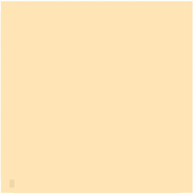 LEE Filters 808 Zircon Warm Amber 6 Filter (24 x 24" Sheet)