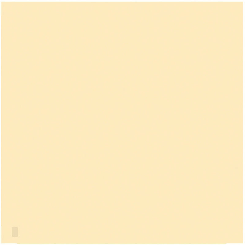 LEE Filters 809 Zircon Warm Amber 8 Filter (24 x 24" Sheet)