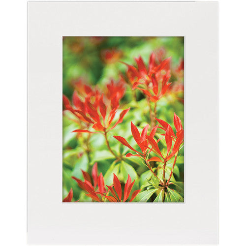 Lineco Conservation Full-Size Mat Board (25 Sheets, 32 x 40", Black)