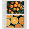 Lineco Polypropylene Top-Loading Photo Album Pages (4x6", 100 Qty)