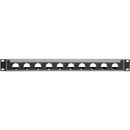 Lowell Manufacturing Rack Panel for Neutrik D Series Connectors-1U (Black)