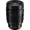 Panasonic Leica DG Vario-Summilux 10-25mm f/1.7 ASPH. Lens