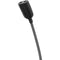 Point Source Audio SERIES8 CO2-8WL-SH Dual Omni Lavalier Mic with Hardwired TA4F Connectors (Black)