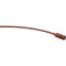 Point Source Audio CR-8L Cardioid Lavalier Microphone with Interchangeable 3-Pin Mini-Connector for AKG Transmitters (Brown)