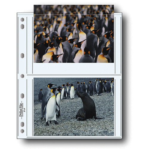 Print File 57-4P Archival Storage Page for 4 Prints (5 x 7", 100-Pack)