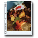 Print File 810-2P Archival Storage Page for 2 Prints (8 x 10", 100-Pack)