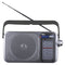 QFX R-24 Portable AM/FM/SW1/SW2 Radio (Silver)