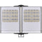 Raytec VARIO2 Long Range Double Panel White Light Illuminator with Adaptive Illumination (Silver)