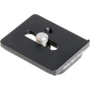 Really Right Stuff B22 Multi-Use Fore-Aft Plate with 3/8"-16 Screw