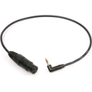 Remote Audio Unbalanced Adapter Cable XLR3F to 3.5mm RA TRS for Stereo Mini-Cam Inputs (18")