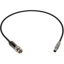 Remote Audio CATCBNCL5M 18" Timecode Adapter Cable