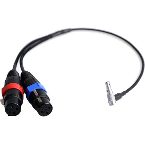 Remote Audio Two 3-Pin XLR Female to 5-Pin LEMO Audio Input Cable for Alexa Mini (17")