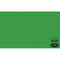 Savage Widetone Seamless Background Paper (#46 Tech Green, 86" x 36')