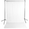 Savage Economy Background Support Stand with White Backdrop