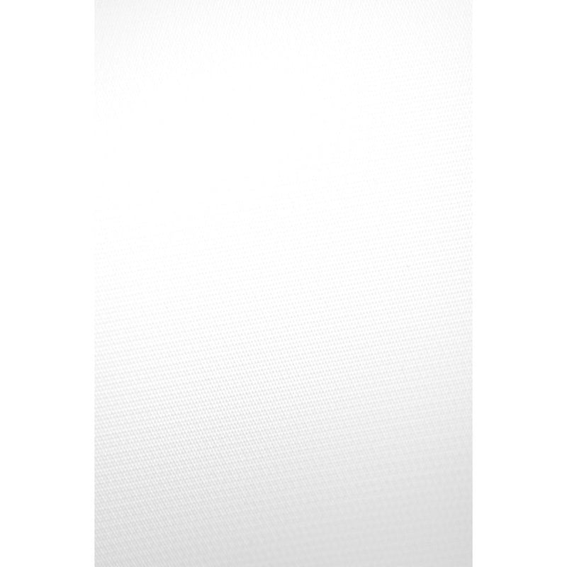 Savage 5 x 12' Infinity Vinyl Background (Pure White)