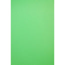 Savage 5 x 12' Infinity Vinyl Background (Chroma Green)