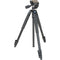 Slik Sprint Pro III Tripod with SH-704E 3-Way Pan Head (Matte Black)