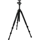 Slik Pro 700BHX AMT Tripod with SBH-808DQ Ball Head