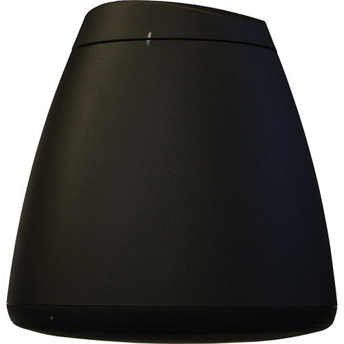 SoundTube Entertainment RS-EZ Series RS62-EZ 6.5" Coaxial Speaker Open-Ceiling Hanging Speaker (Black)