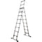 Telesteps Combi Ladder (14')