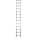 Telesteps 16' Extension Ladder