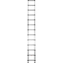 Telesteps 16' Professional Extension Ladder