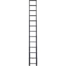 Telesteps 16' Military/Tactical Extension Ladder