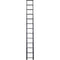 Telesteps 16' Military/Tactical Extension Ladder