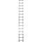 Telesteps 18' Professional Extension Ladder