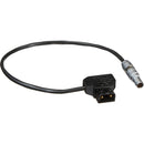 Teradek 2-Pin LEMO to P-Tap Cable (11")