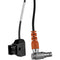 Teradek RT Latitude MDR Receiver D-Tap Power Cable (16", RA to Straight)